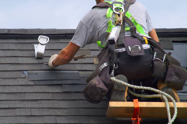 Best Roof Gutter Cleaning  in Pine Bluff, AR